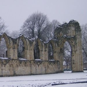 Meet your Posher, Haley lauren